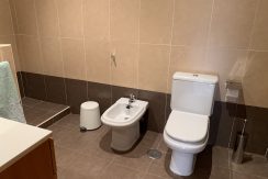 IMG-4525
