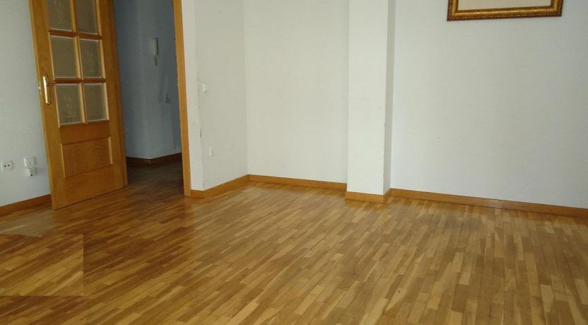 DSC00729