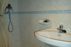 DSC00739