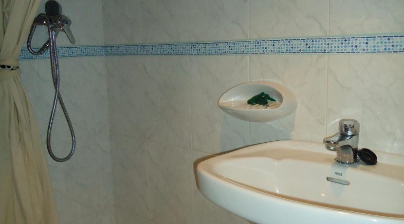 DSC00739